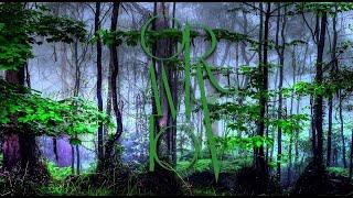 Forest Dark Psy Trance The Underground Never Dies (Suburbia Mix)