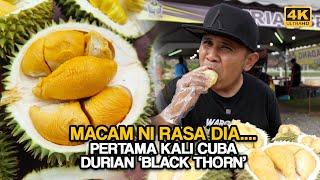 Saya CUBA 5 JENIS DURIAN, Ternyata DURIAN IOI PALING SEDAP (4K)