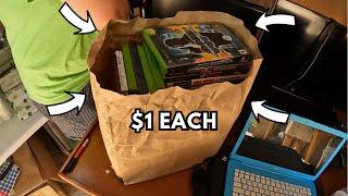 She Brought Out A Grocery Bag of Video Games at this Garage Sale!