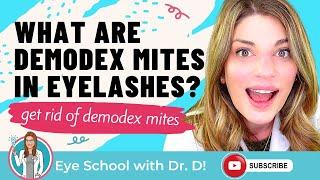 What Are Demodex Mites in Eyelashes? Are Mites In Your Eyelashes? | Demodex Really Grows On You!