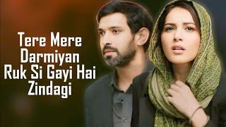 Tere Mere Darmiyan (LYRICS) - Akhil Sachdeva | Vikrant Massey | Raashii Khanna | Ridhi Dogra | TSR