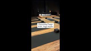 HUMMING PUPPY REVIEW | nyc yoga studio review