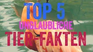 Die TOP 5 - Unglaubliche Tier-Fakten