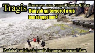 Ratusan kilo ikan gratis Pladu sungai Brantas bendungan serut Blitar 2024 arus deras dan ganas