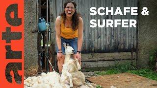 Von Schafen und Surfern | Schottlands wilder Norden | ARTE Family