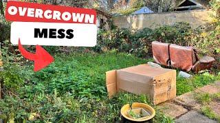 Garden Nightmare Transformation | Watch me Rescue this DISASTER!