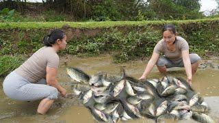 Full Videos: Unique Fishing - Pumping water outside the natural lake, Harvesting a lot of big fish