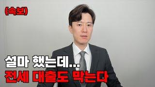 (속보) 전세대출도 막는다. 전세대출 보증한도 축소한다.