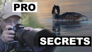 Aperture EXPLAINED: The Secret to Better Photography