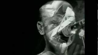 Sinéad O'Connor - Just Call Me Joe (from DVD "The Value Of Ignorance") HD