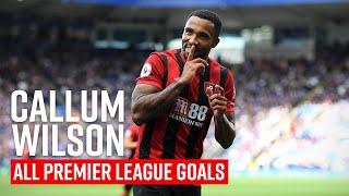 All of Callum Wilson's Premier League Goals 