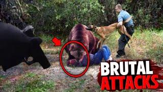 The Most INSANE Life-Ending Bear Attacks MARATHON!