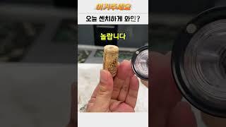 이걸로 와인 따랐더니 친구들이 와서 놀라고 감탄함! #와인오프너추천 #자동오프너 #홈술준비 #분위기템 #홈술스타그램 #감성템추천 #집들이선물 #와인용품 #와인세트 #와인선물