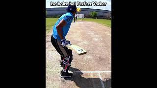 Batsman dhunta reh gaya ball  #cricket #highlights #crickethighlights