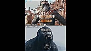 Akut vs Proximus Caesar #kingdomoftheplanetoftheapes #thelegendoftarzan #vsedit #vsbattle #wis