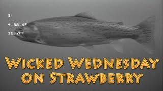 Wicked Wednesday On Strawberry