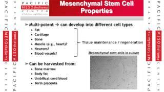 Strategies to Enhance Immune-Based Therapies for Mesothelioma