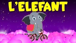 L'ELEFANT EN BICICLETA | Cançons Infantils en Català