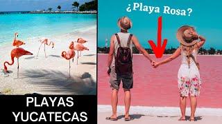  7 Mejores PLAYAS de Yucatán que debes Visitar (MÉXICO)