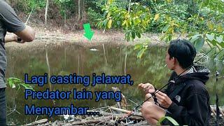 MANCING IKAN JELAWAT