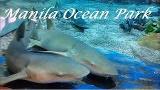 Visiting Manila Ocean Park