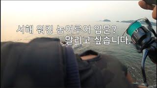 서해 워킹농어 루어낚시 왜 해로울까??