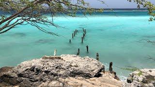 Mangel Halto - Aruba’s Best Hidden Beach 