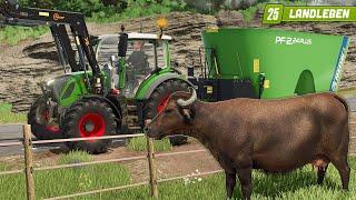 LS25: Wasserbüffel für den Hof! | Landleben #5 | LANDWIRTSCHAFTS SIMULATOR 25