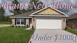 1368 sq ft 3/2/2 New Home for Sale in Spring Hill Florida Under $299k!