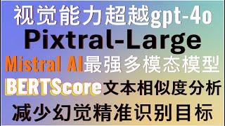 超越GPT-4o！Mistral AI重磅发布多模态大模型Pixtral-Large！结合BERTScore实现更精准的图像和视频目标检测，从此告别大模型幻觉问题，强大且免费！附完整代码！#agi