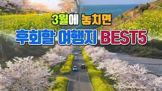 3월에 놓치면 후회할 여행지 BEST5/ 국내여행 추천 /3월 여행지 추천 /3월에 가볼만한곳 /경기도 가볼만한곳 /제주도 가볼만한곳 /광양 여행 /꽃구경 가볼만한곳