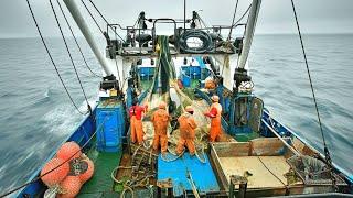 Inside a Commercial FISHING Vessel In The Pacific Ocean