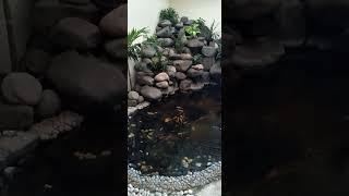 pond design #travel #vlog #viral #cover #led #views #ponds #pondfishing