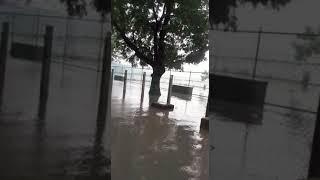 Flood in Chetpet Mcc.hr.sec.school# chennai #flood #live #YOUTUBE #mcc#news FLOOD IN KORATTUR