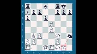 ChessMaster GME: Waitzkin J vs Acs P