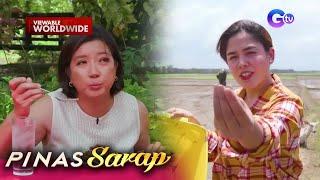 Peste sa palayan, ginagawang pulutan?! (Full Episode) | Pinas Sarap
