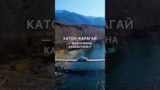 Самое красивое место в Казахстане? КАТОН-КАРАГАЙ #казахстан #путешествия #вко #kazakhstan