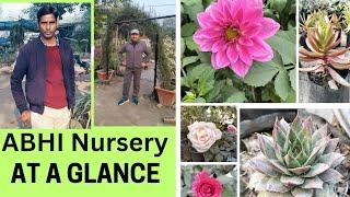 Nursery at a glance | ABHI Nursery | #kalindikunj #nursery #nurserybusiness #plantbased