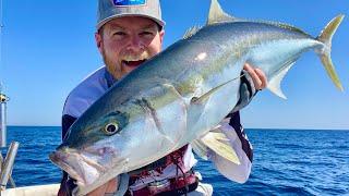 Fishing for the kings of the reef! (Catch, clean, eat)