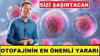 Otofajinin En Önemli Yararı (Sizi Şaşırtacak) | Dr.Berg Türkçe