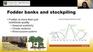 Researching Tree Fodder, Ashley Conway (2021 Tree Fodder Seminar)