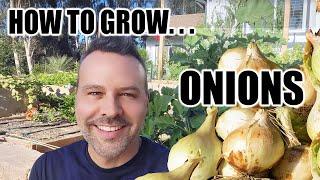 How to Grow Onions from Seed and From Transplants... In Fall.