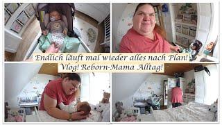 Endlich mal wieder ein ganz normaler Tag? || Vlog! || Reborn Baby Deutsch || Little Reborn Nursery