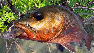 Skip Casting Squidgies Paddletail Prawn... How to Rig Weedless