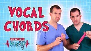 Operation Ouch -  Vocal Cords | Science Experiments