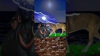 Jay Bholenaath  Har har Mahadev  Shiv vfx video vertual reality VR #shorts #trading