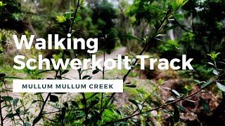 MELBOURNE WALK // Schwerkolt Track Mullum Mullum Creek