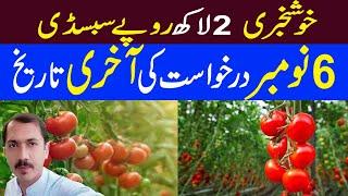 Cm Punjab Subsidy Scheme for Vegetables || Punjab Government Announced Special subsidy ||