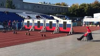 Firesport - 100 meters obstacle course - Daniel Klvaňa - world record with 14.70 s