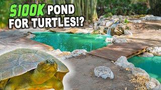 Ultimate Pond For South American Turtles - KAMP KENAN